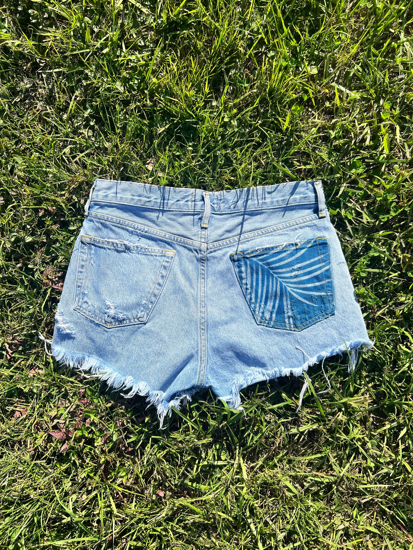 AGOLDE Jean Shorts • 27