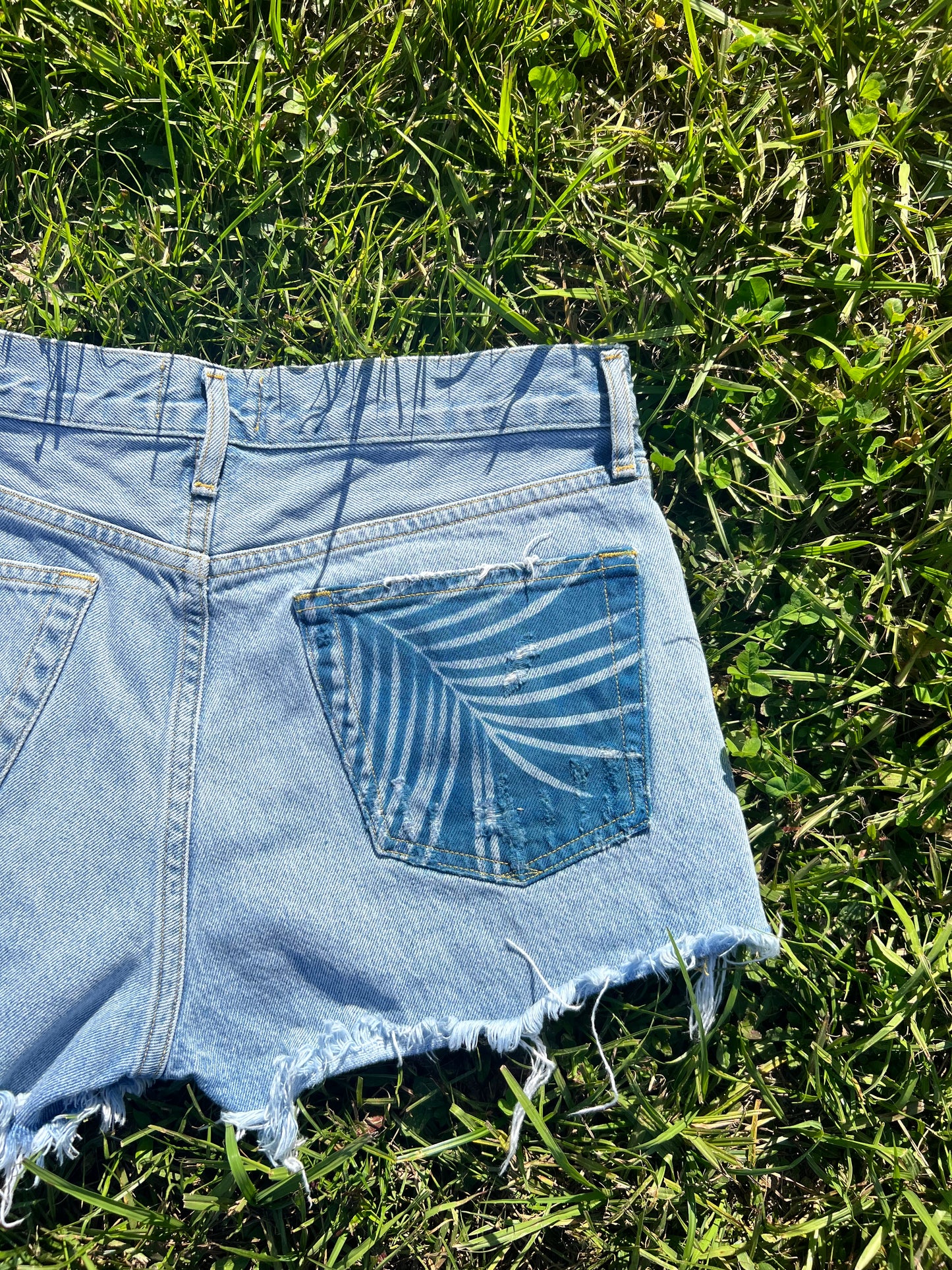 AGOLDE Jean Shorts • 27