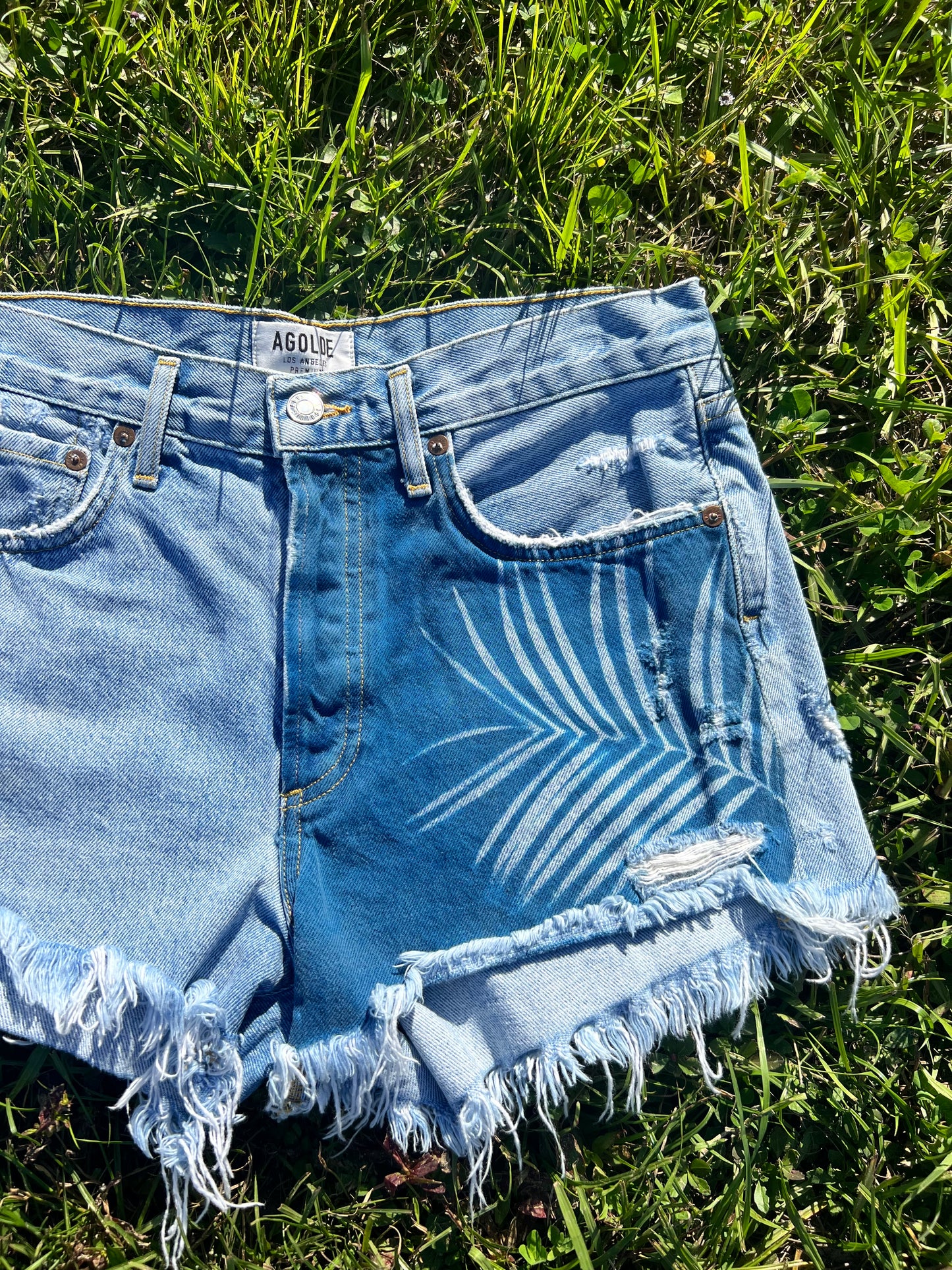 AGOLDE Jean Shorts • 27