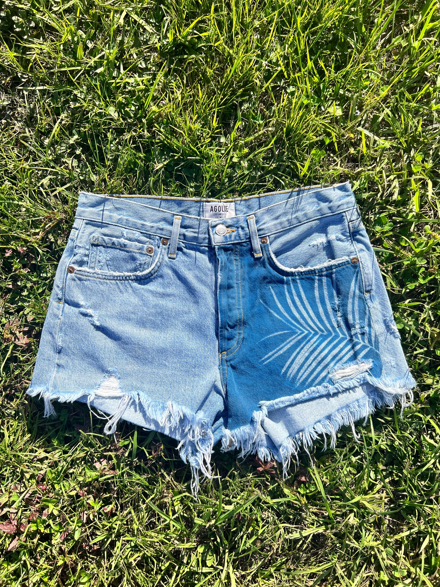 AGOLDE Jean Shorts • 27