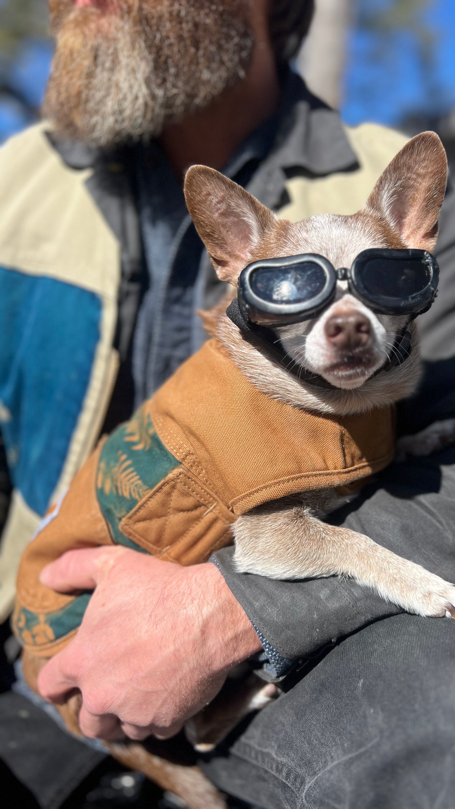 Carhartt Dog Coat • Small
