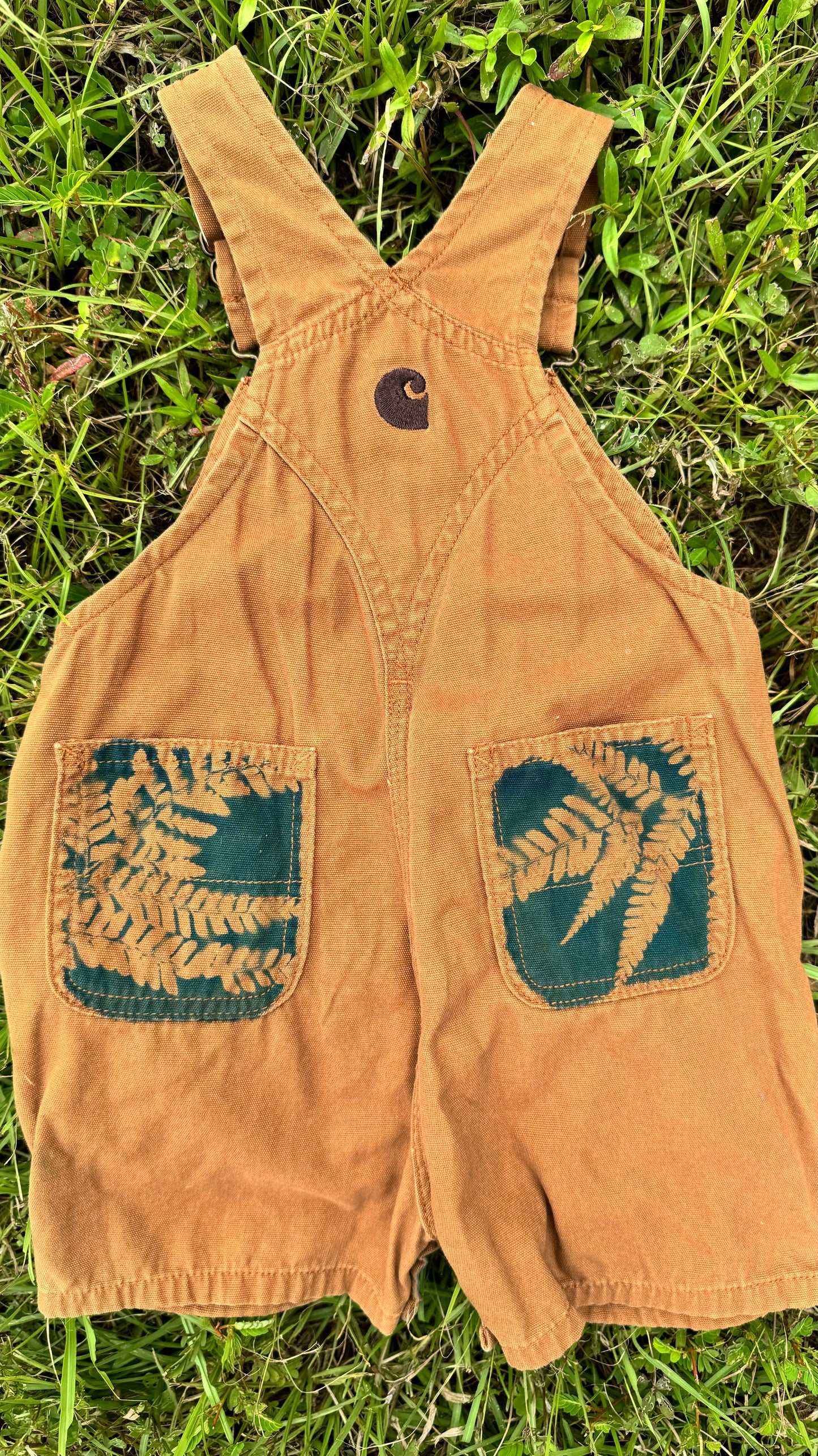 Carhartt Overalls Shorts • 12 Months