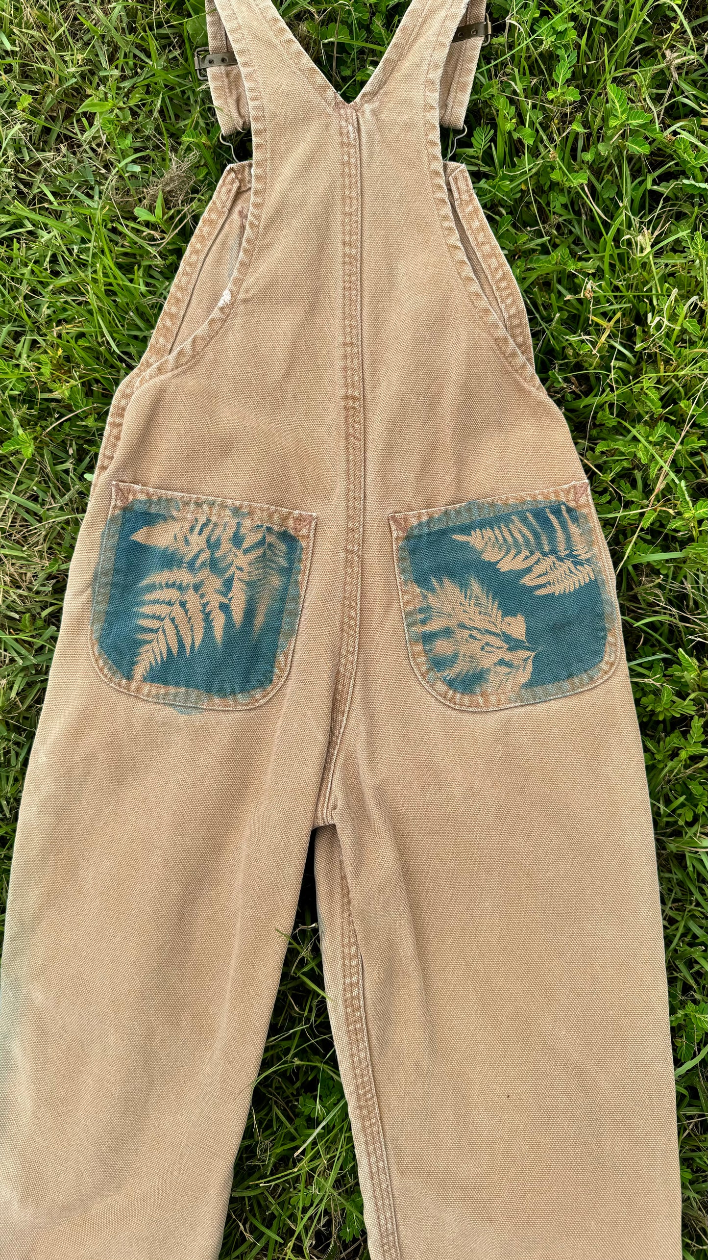 Carhartt Overalls • 3T