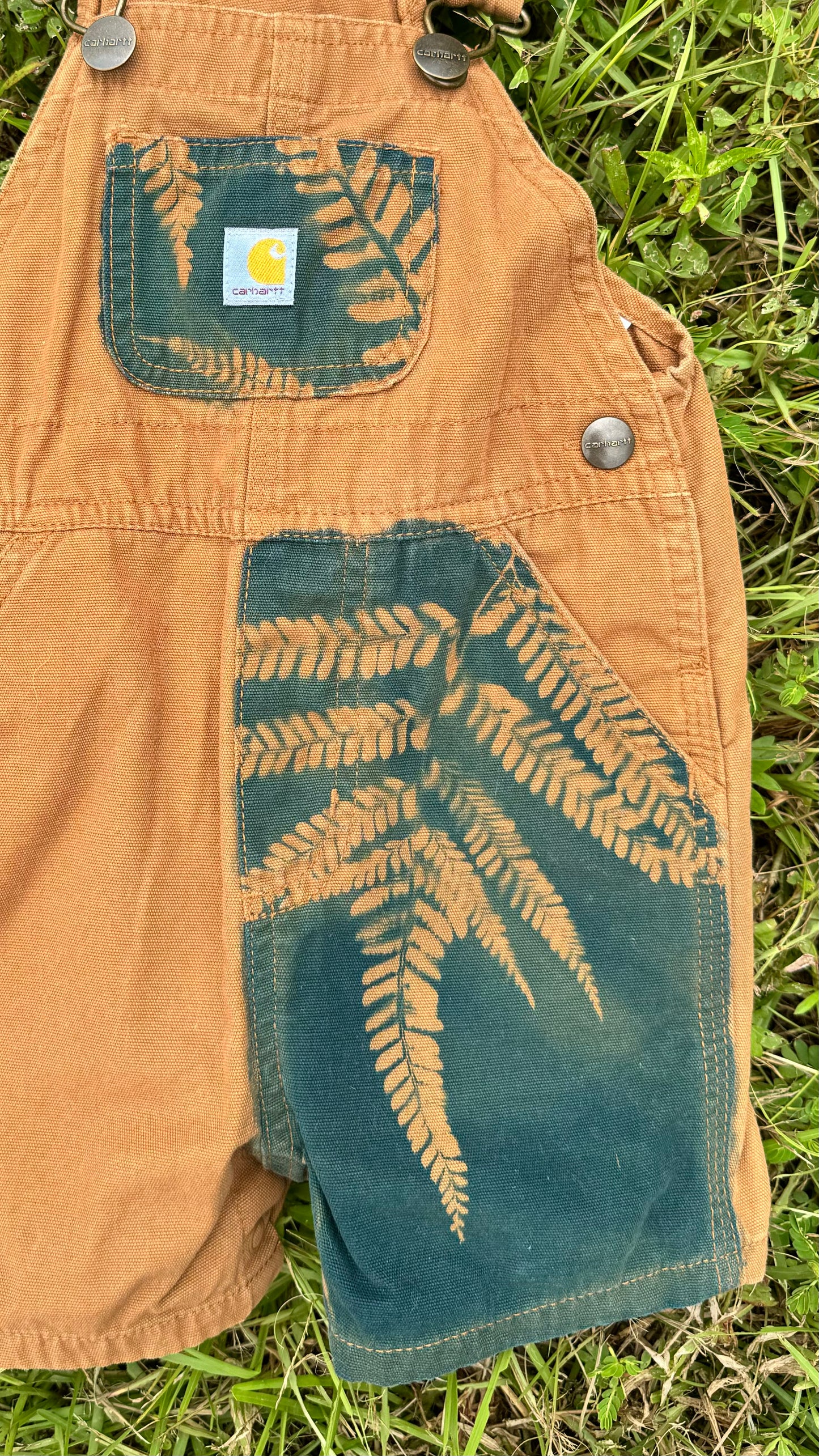 Carhartt Overalls Shorts • 12 Months