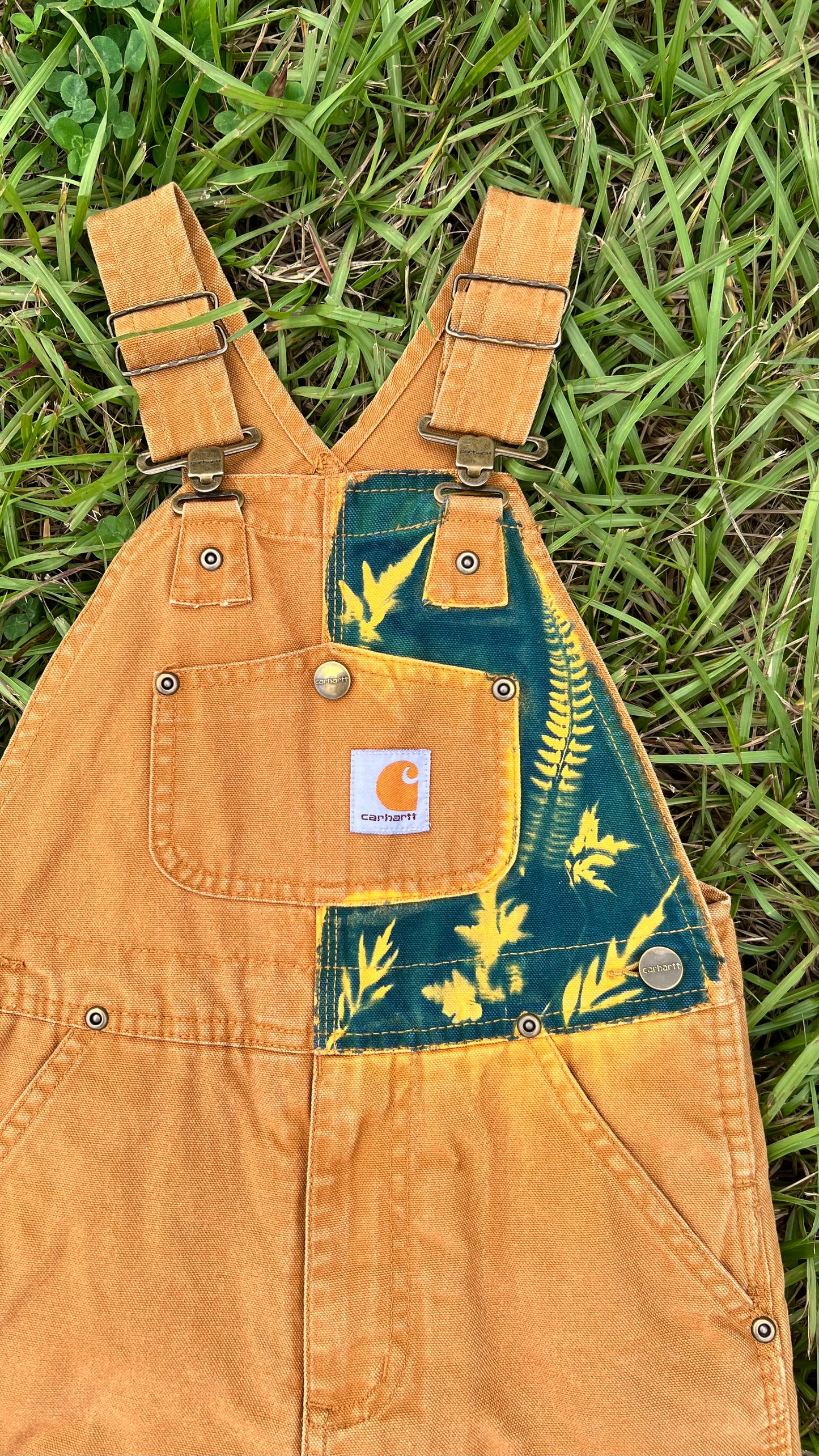 Carhartt Lined Bib Overalls • Youth 5