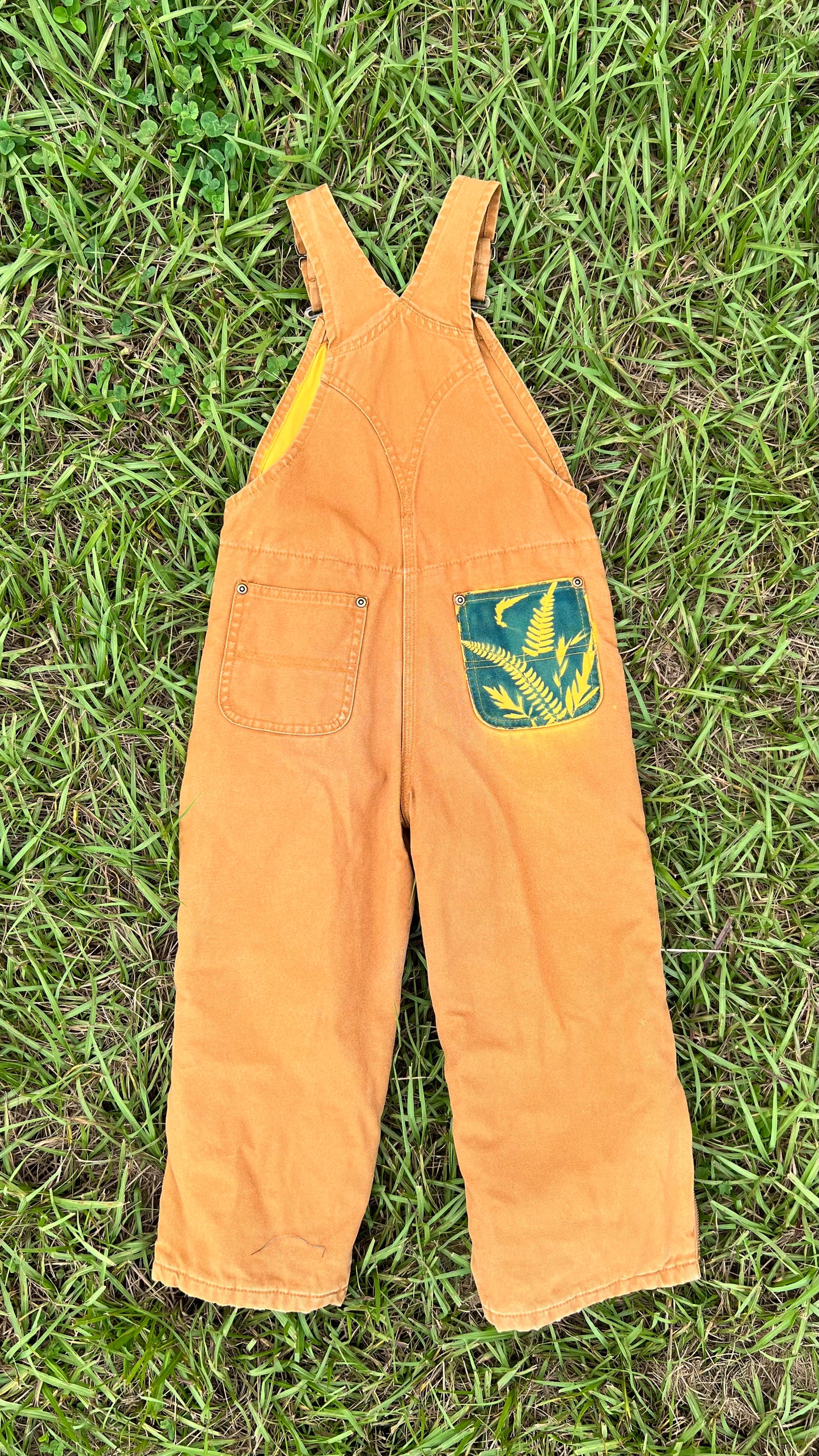 Carhartt Lined Bib Overalls • Youth 5