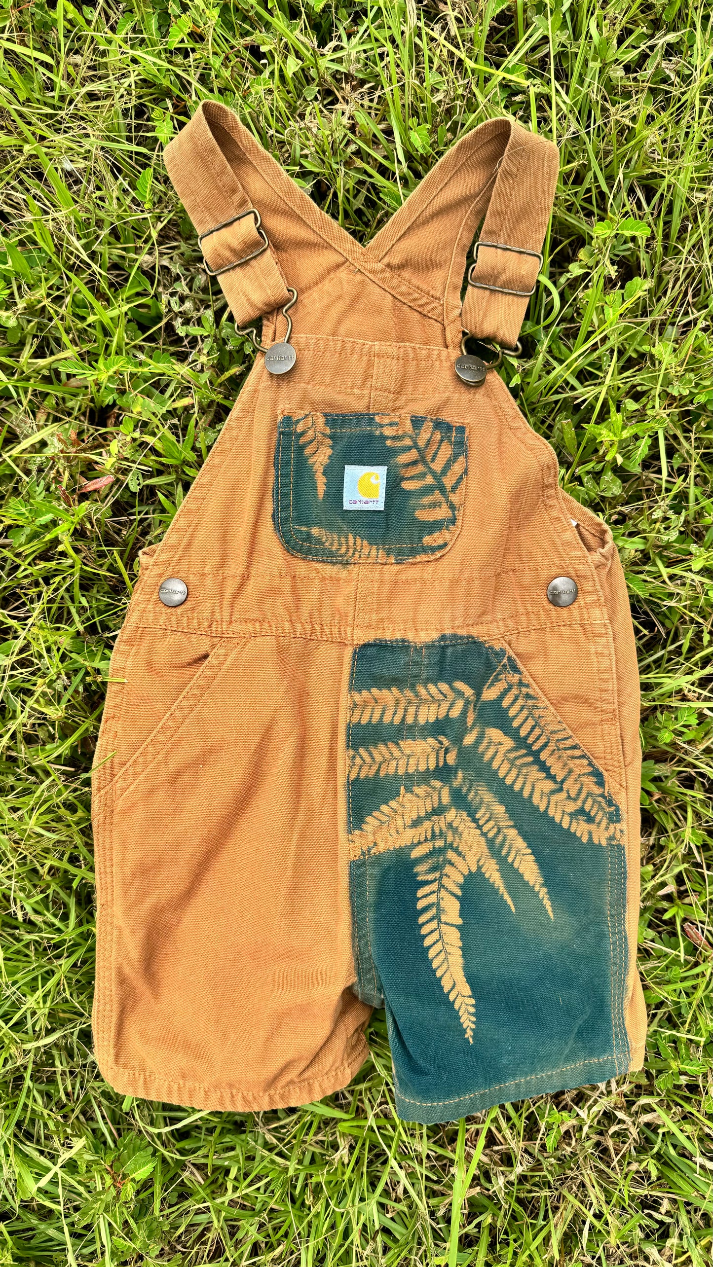 Carhartt Overalls Shorts • 12 Months