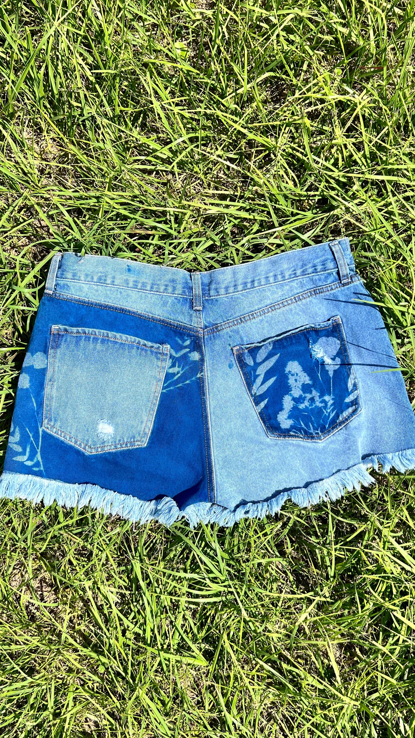 Celebrity Pink THE BABE Shorts • 37