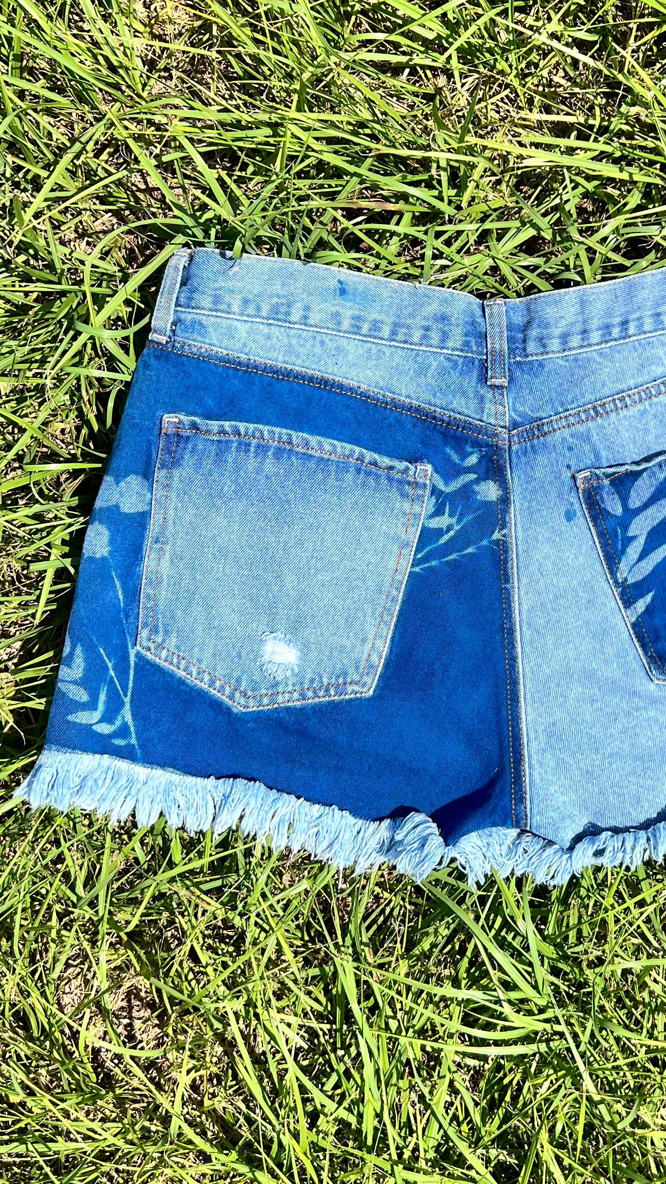 Celebrity Pink THE BABE Shorts • 37