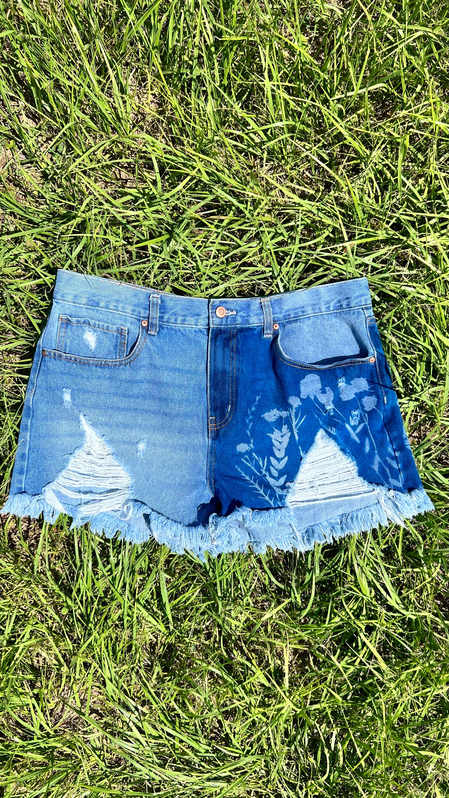Celebrity Pink THE BABE Shorts • 37