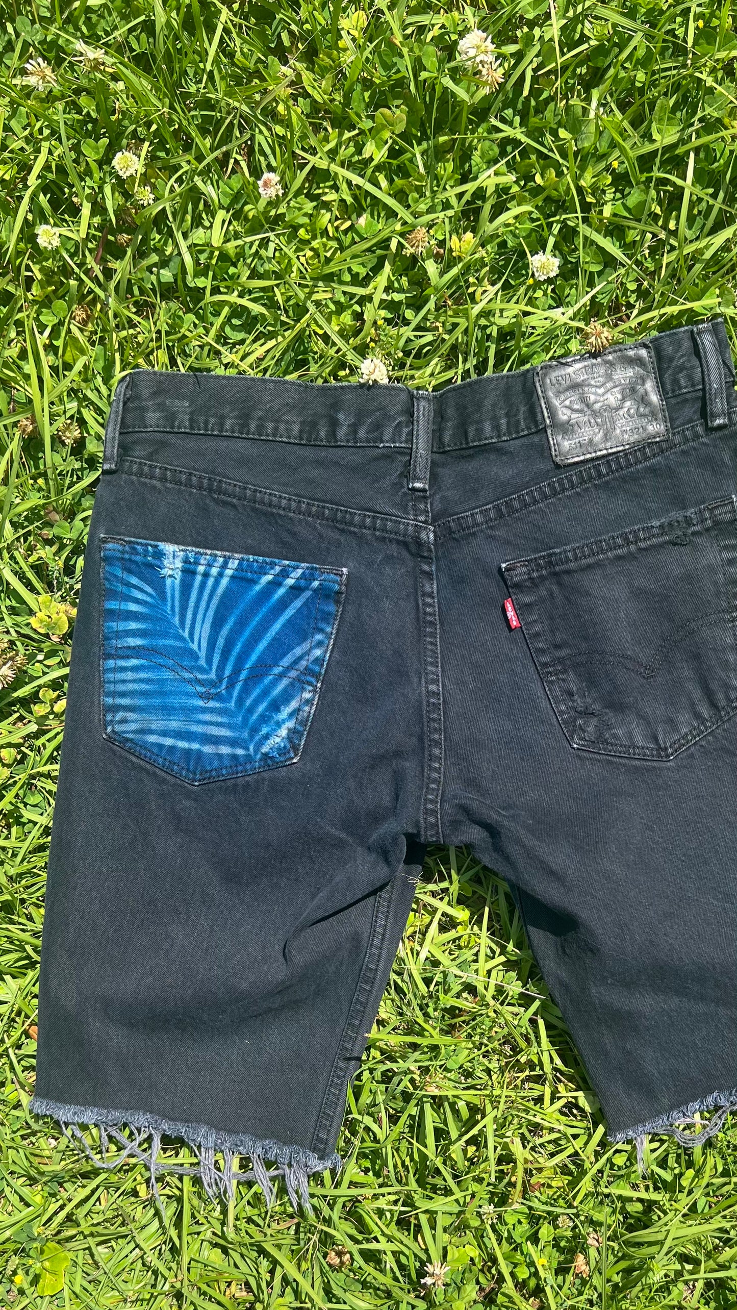 Levi 511 Black Short Cut-Offs • 32
