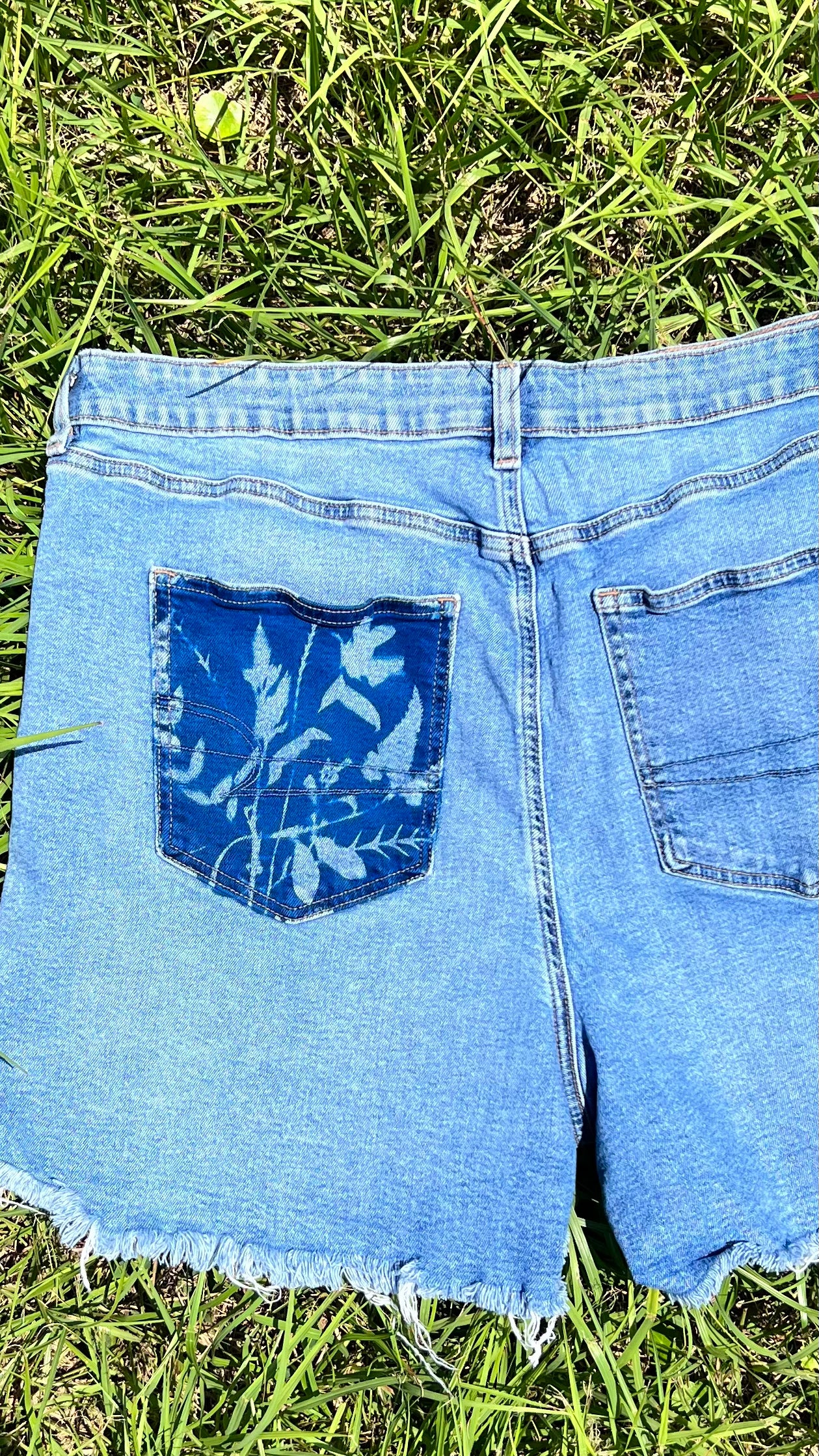 American Eagle Shorts • 40