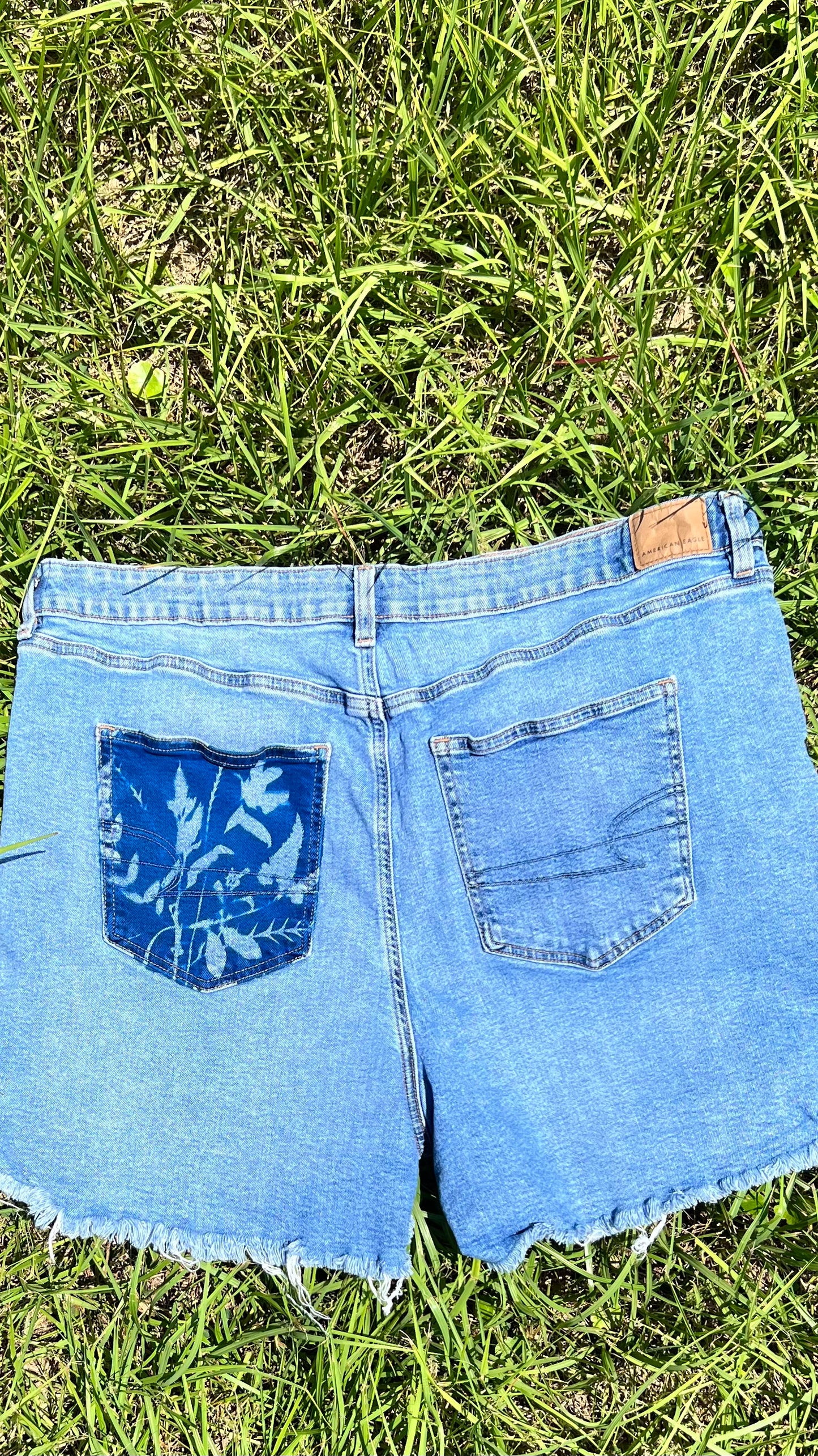 American Eagle Shorts • 40