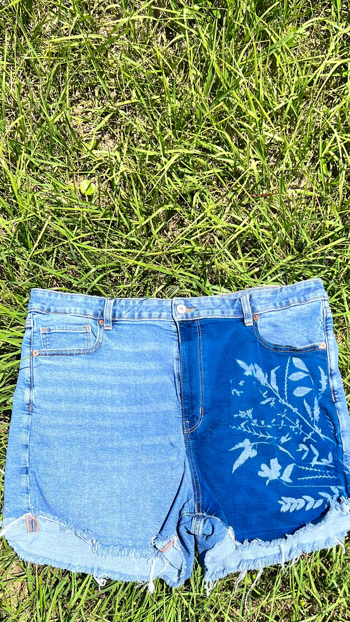 American Eagle Shorts • 40