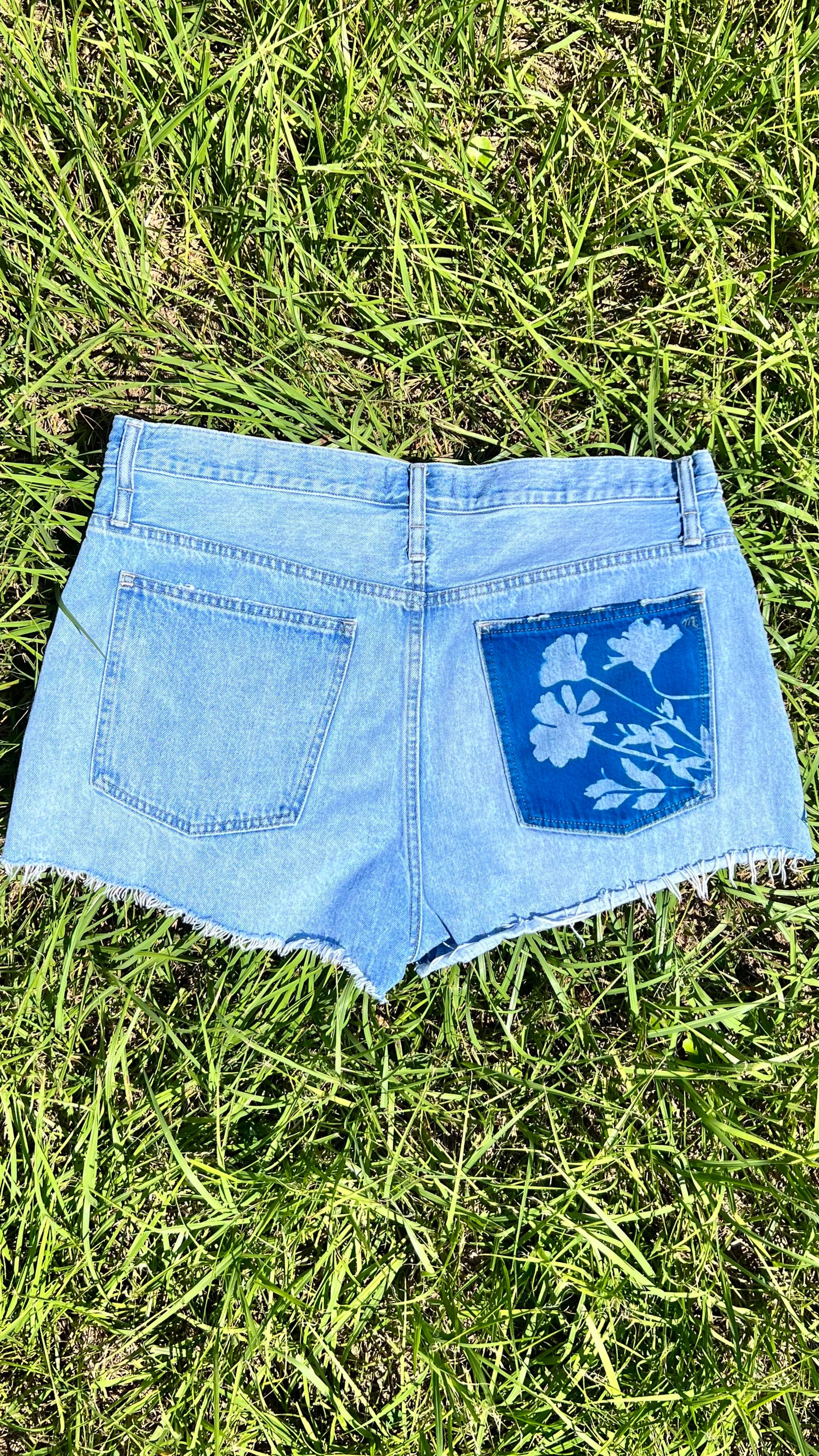 Madewell Shorts • 38