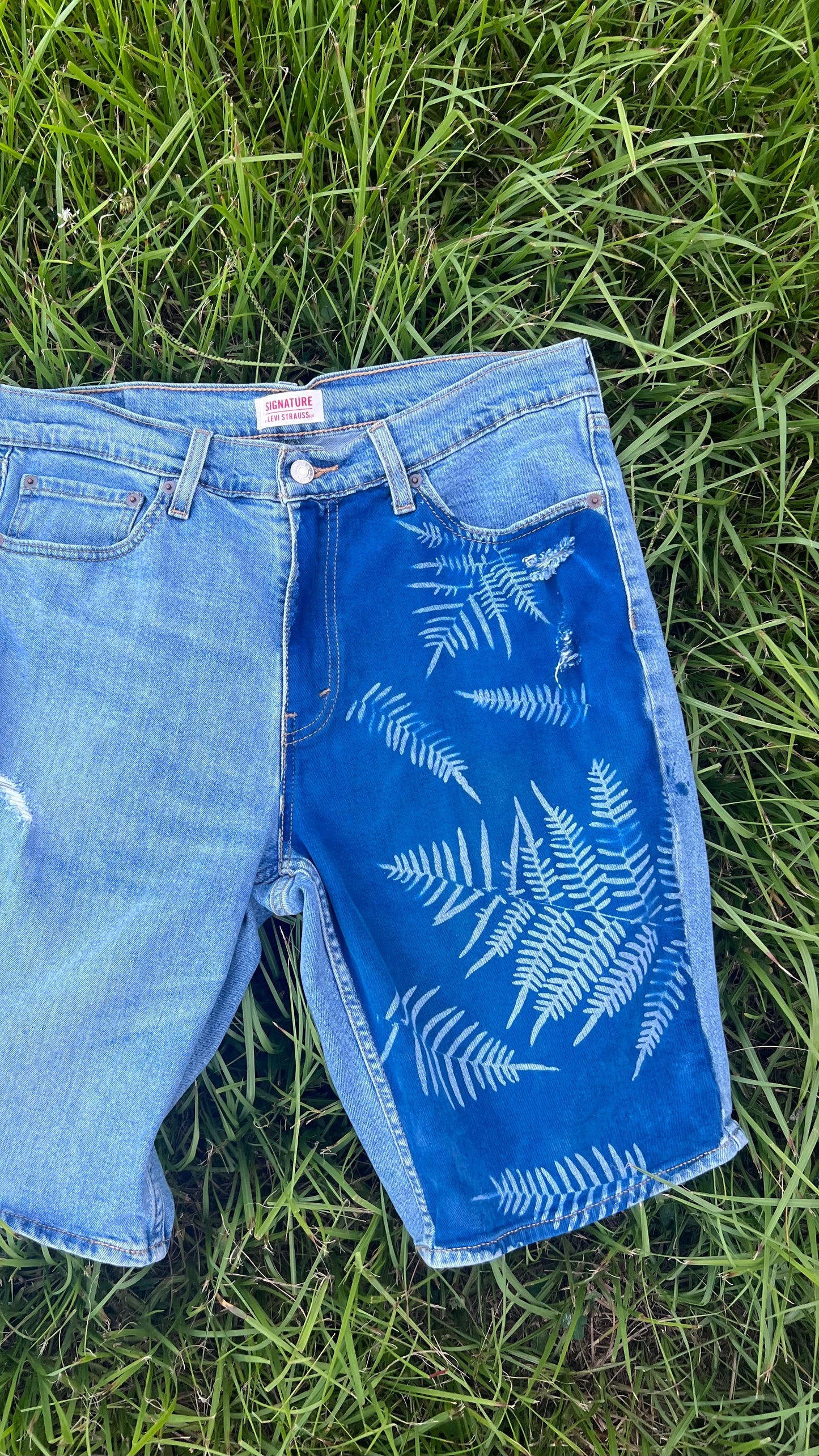 Signature Levi Shorts • size 32