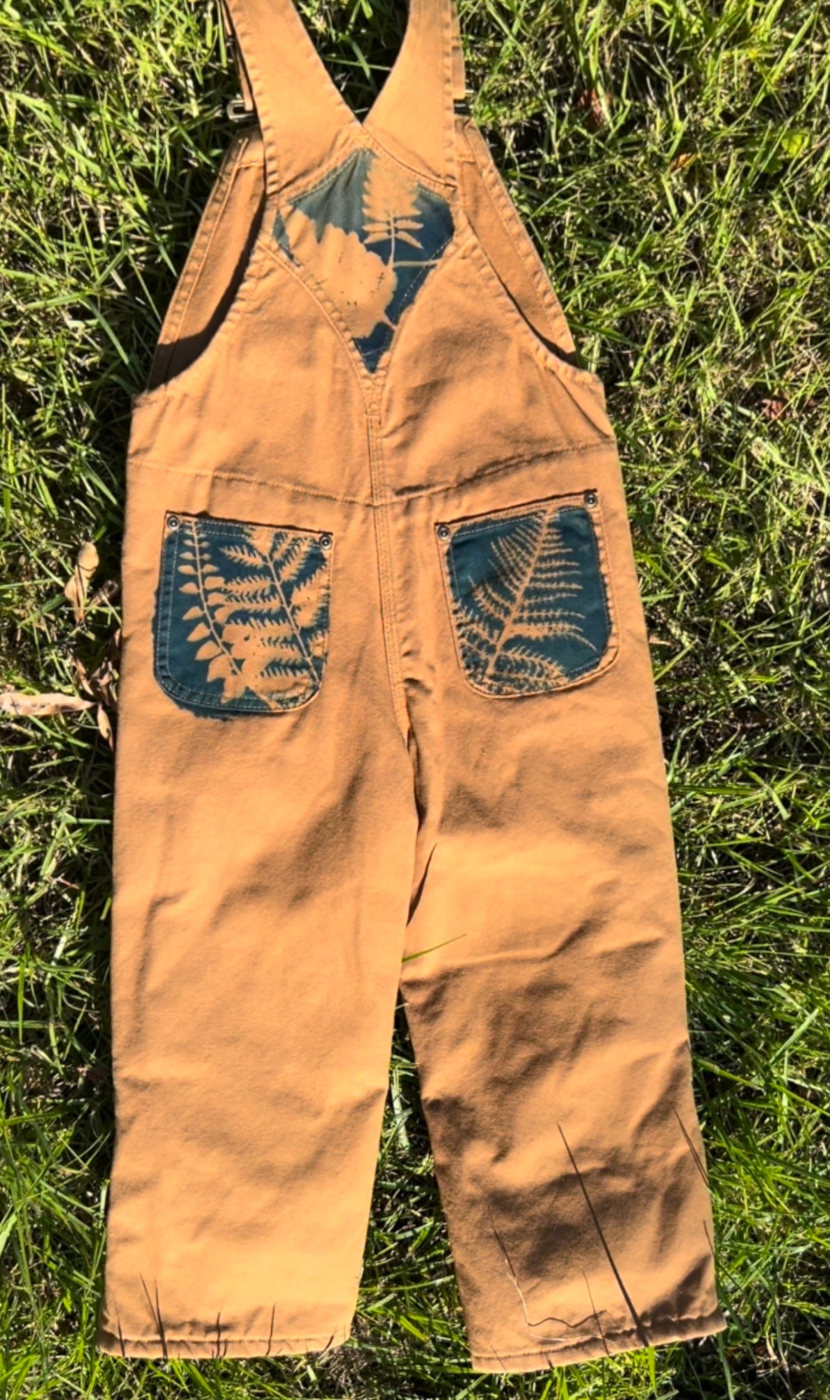 Carhartt Overalls • Youth 5