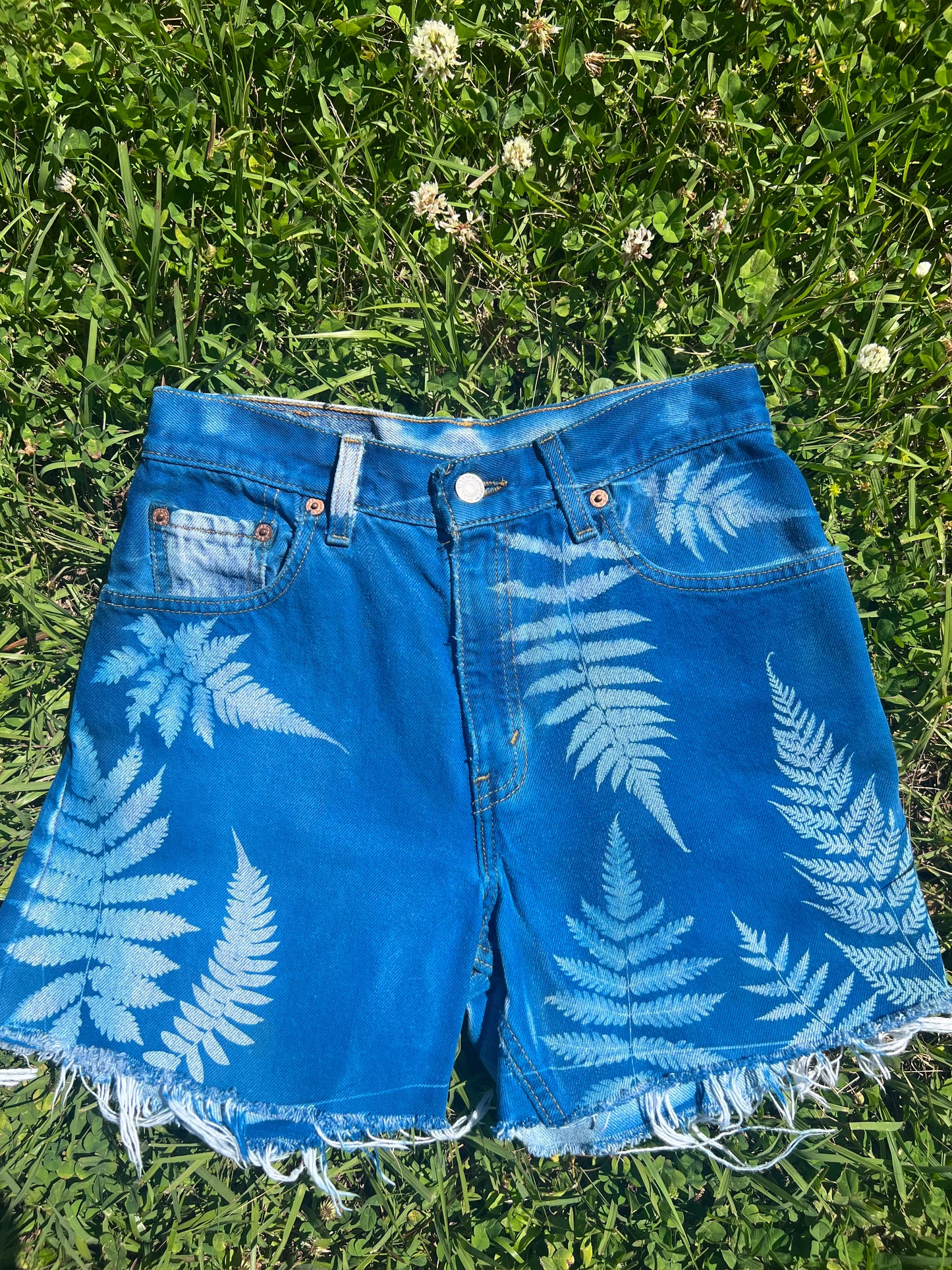 Levi 550 cut off shorts • 26