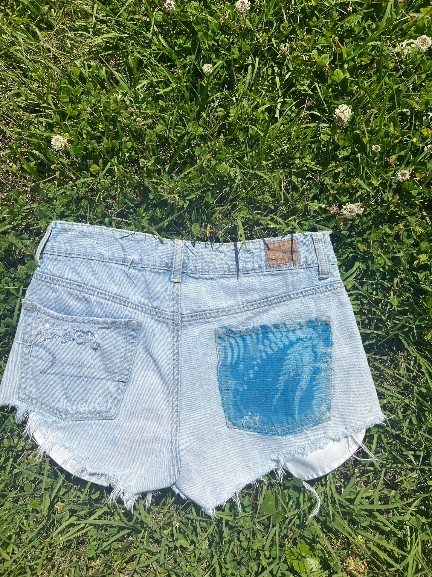 American Eagle shorts • 29