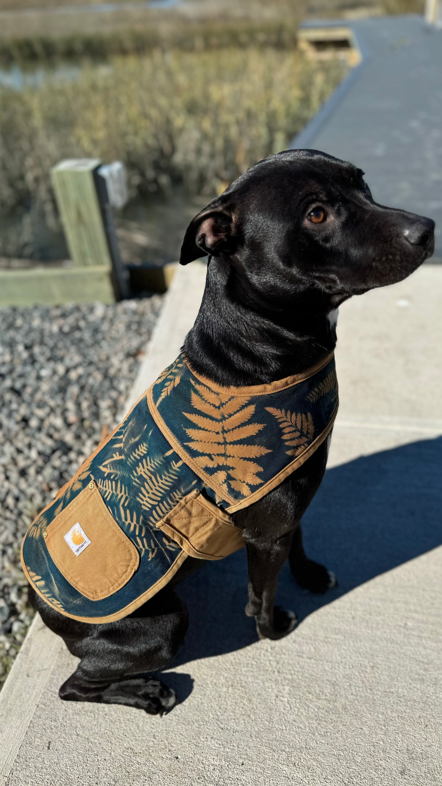 Carhartt Tan Dog Coat • Medium