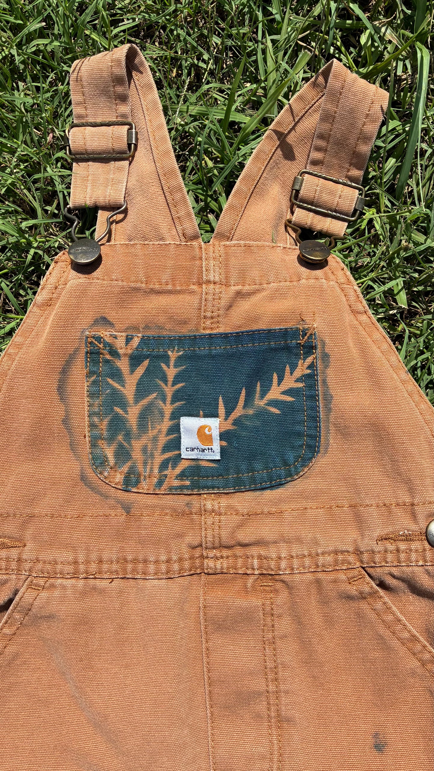 Tan Carhartt Overalls • 4T