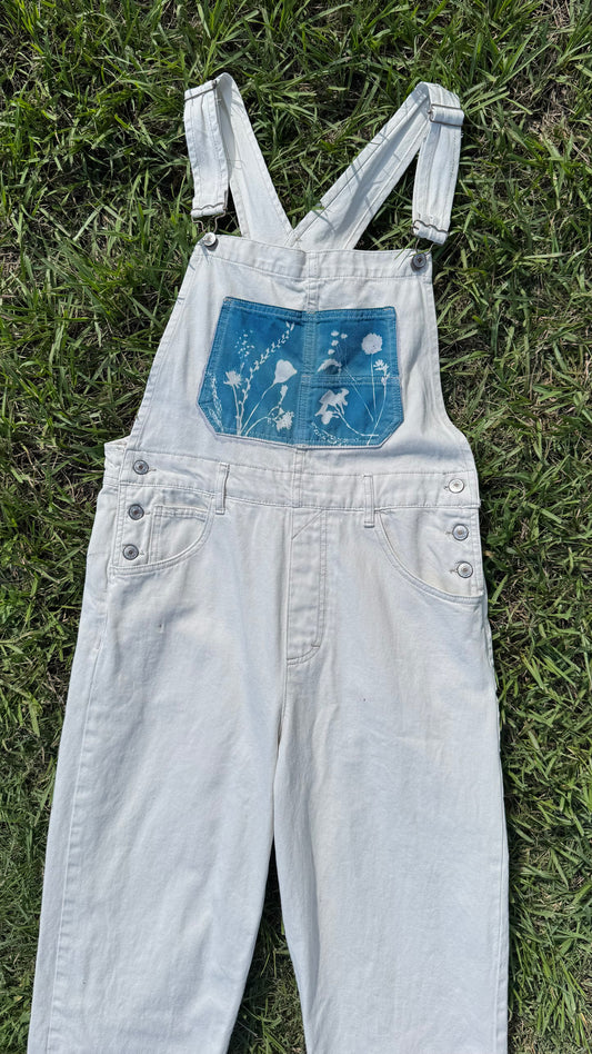 Free People • 32x29