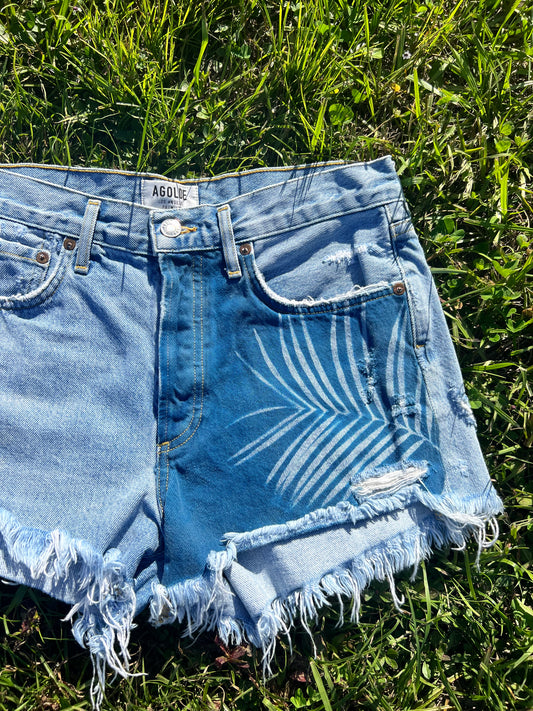 AGOLDE Jean Shorts • 27