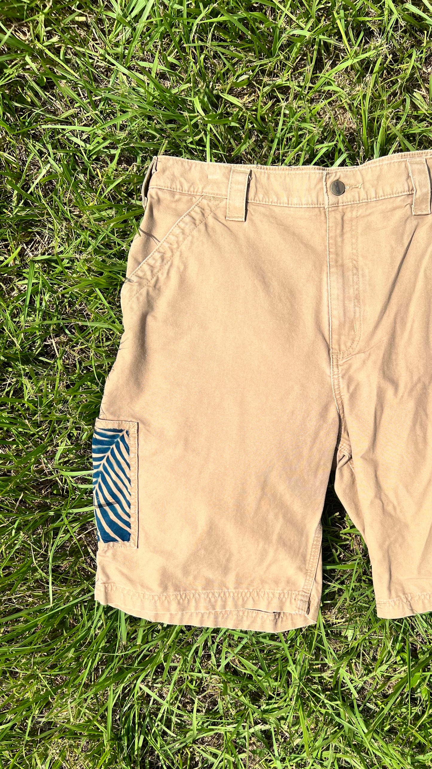 Carhartt Shorts • size 36