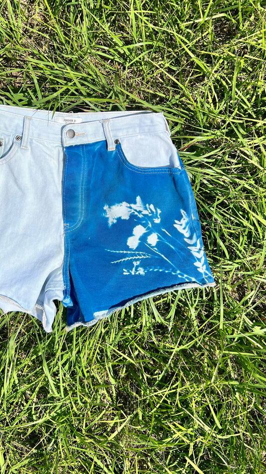 Forever 21 Shorts • 29