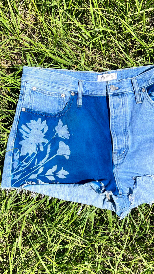 Madewell Shorts • 38