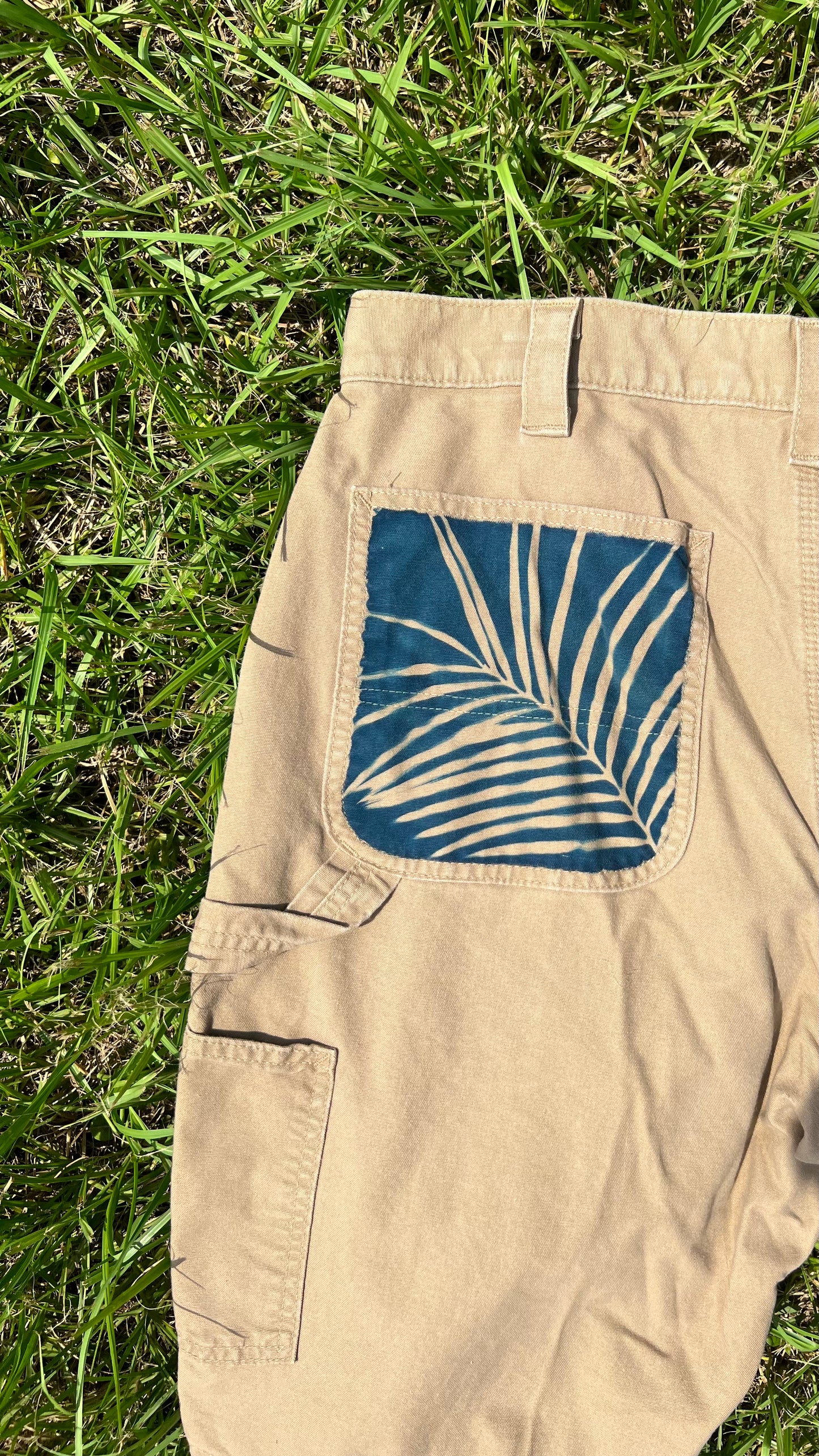 Carhartt Shorts • size 36