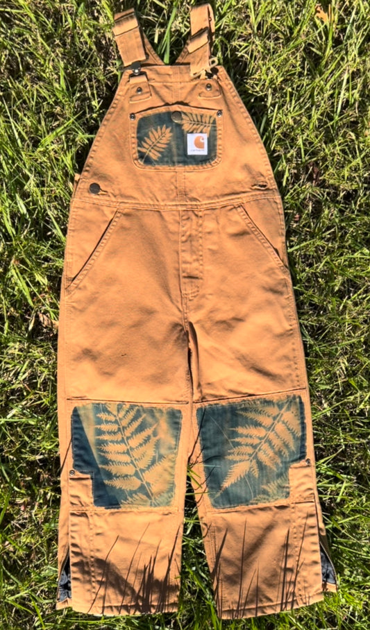 Carhartt Overalls • Youth 5