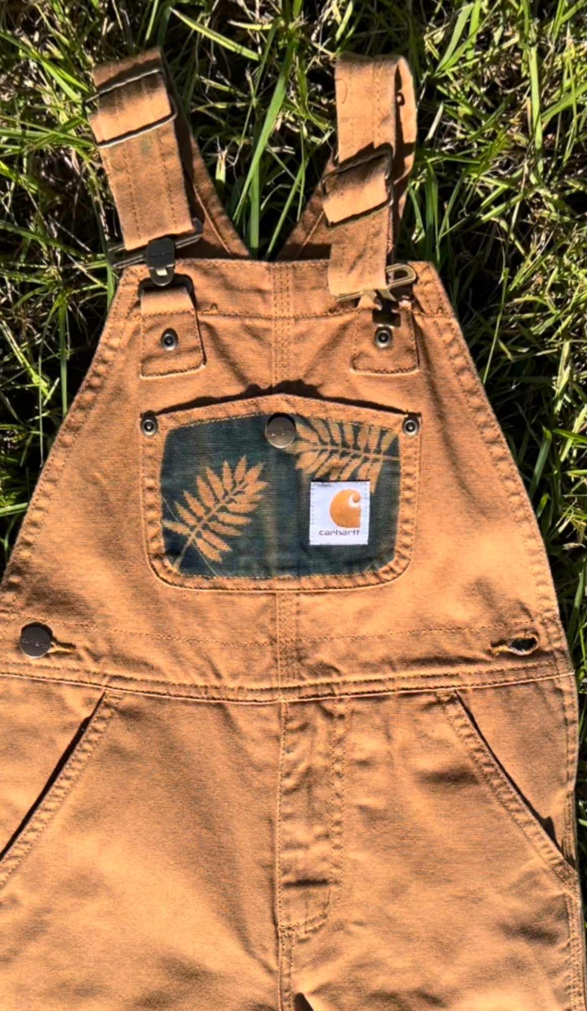 Carhartt Overalls • Youth 5