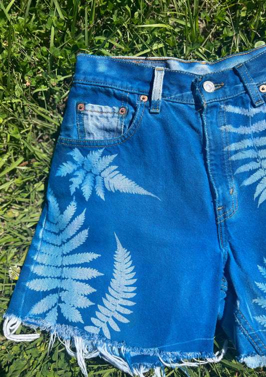Levi 550 cut off shorts • 26