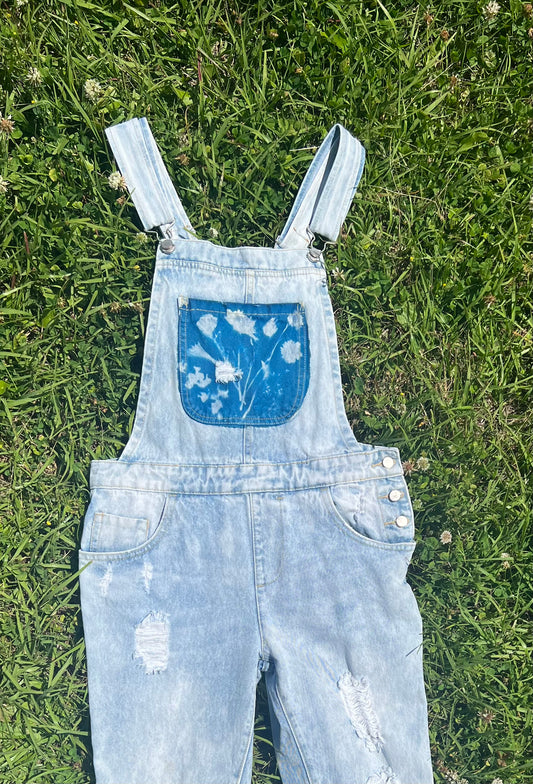 Forever21 Overalls • 31x25