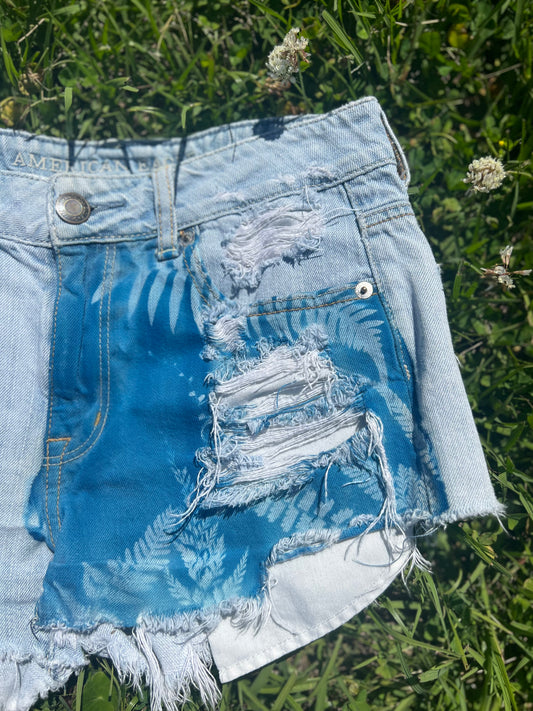 American Eagle shorts • 29